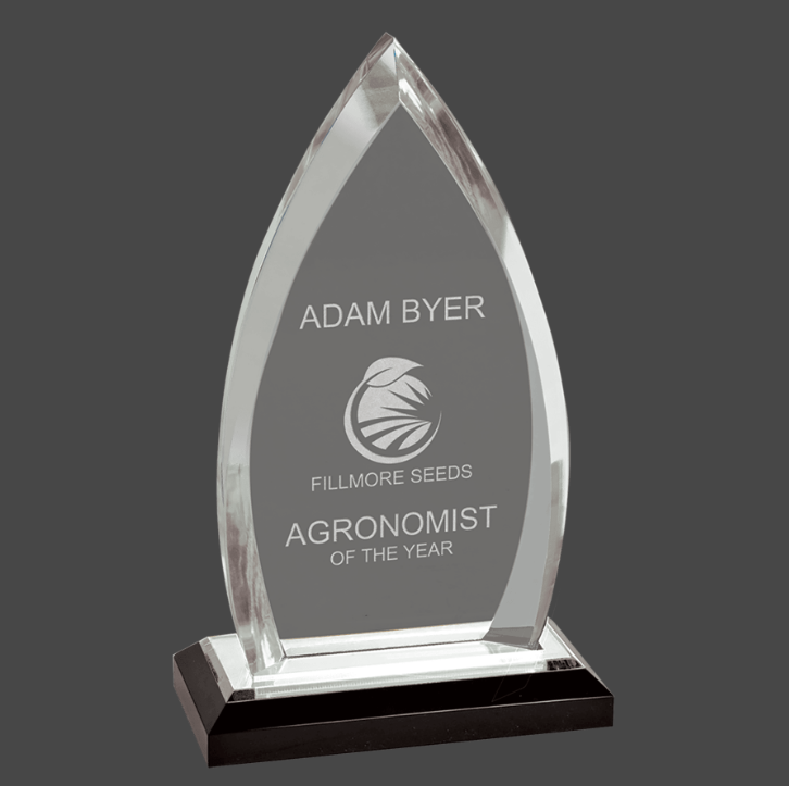 Clear Acrylic Oval Impress