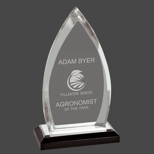 Clear Acrylic Oval Impress